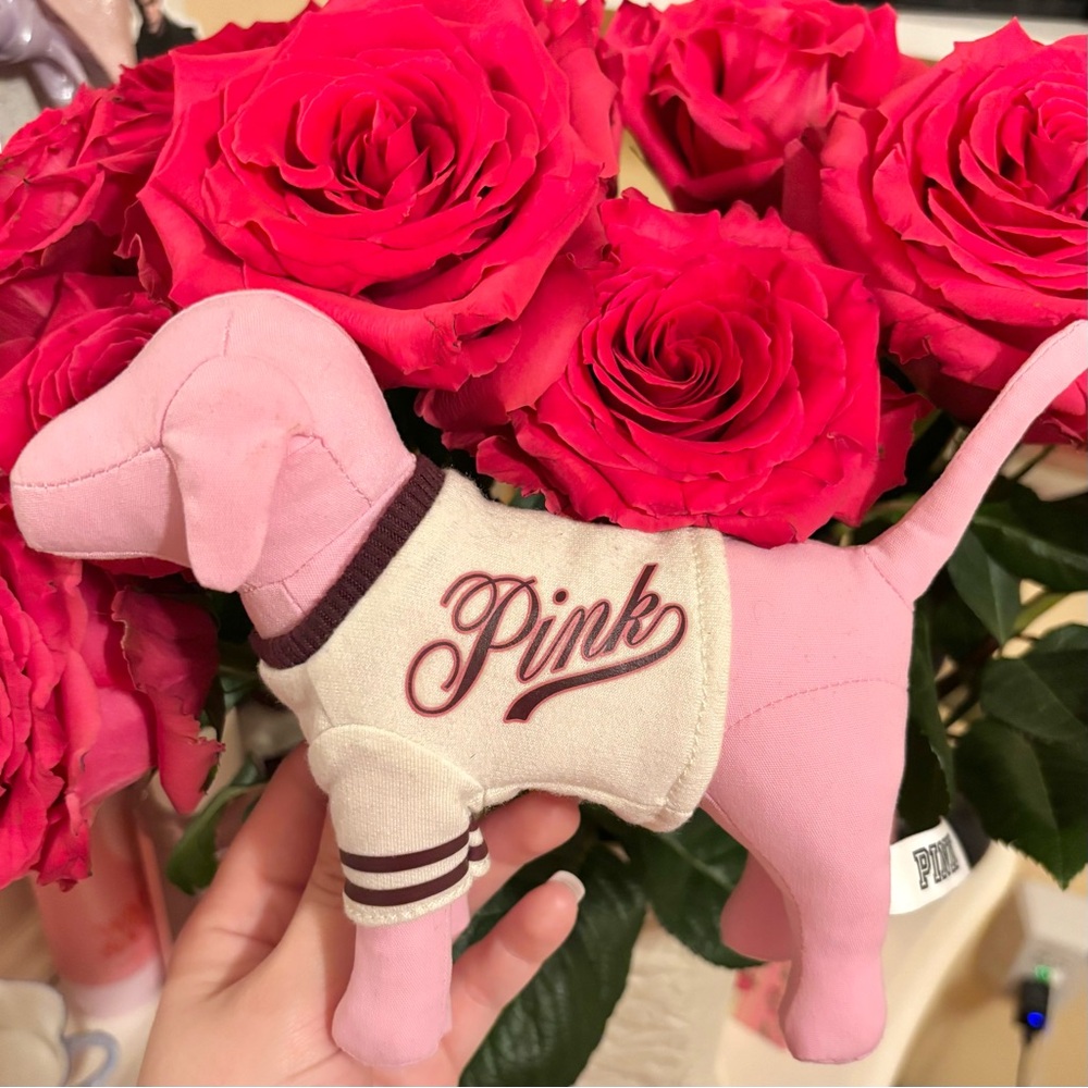 PINK Dog Plush with Cream Logo Varsity Sweater